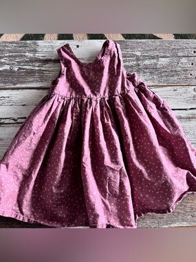 2T Wheat Girls' Pink Floral organic Cotton Dress